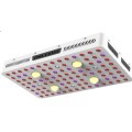 COB 2000w LED 성장 가벼운 수경법