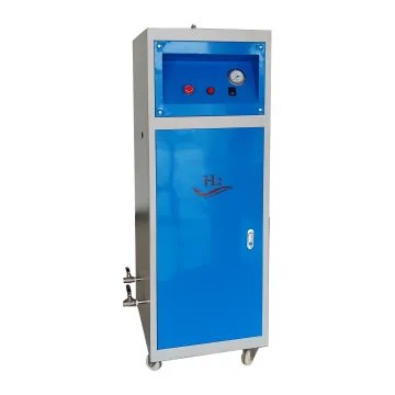 High-Efficiency 100Nm3/H Methanol to Hydrogen Generator: Prolonged Service Life and Low Energy Consumption for Pharmaceutical Industries