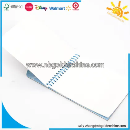 Mickey Aquart Activity Pad