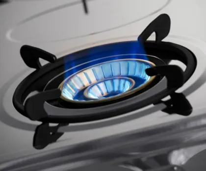 Gas Kitchen Stove Pensonic Gas Kitchen