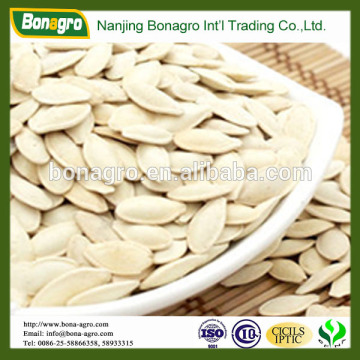 pumpkin seed /snow white on sale for importer
