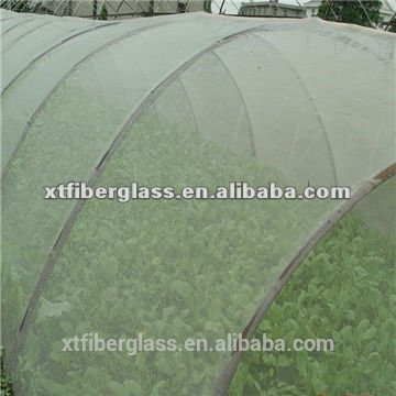 factory price top quality bug screen/Agriculture Insect Screen