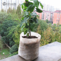 100/50PCS Seedling Plants Nursery Bags Organic Biodegradable Grow Bags Fabric Eco-friendly Ventilate Growing Planting Bags