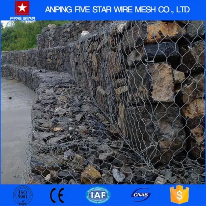 Alibaba China 2x1x1 Gabions Terramesh Mesh Sale Price