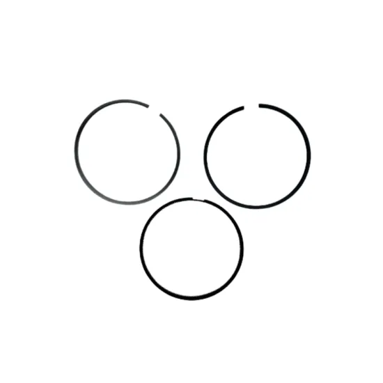 High Performance 3802429 Piston Ring Set for Fast Delivery STD Machinery Truck Engine Parts at Factory Price