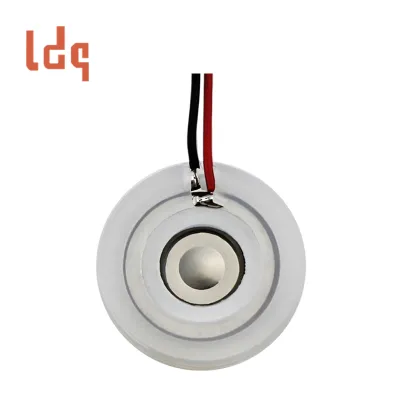 Fragrance Humidifier Atomizer Plate