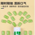 Lotte Mint Gum with Green Grape Candy