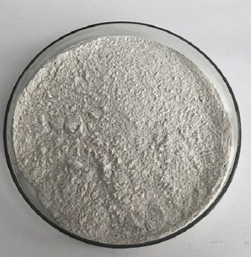 Catalase Enzyme Catalase Positive Bacteria Food Additives