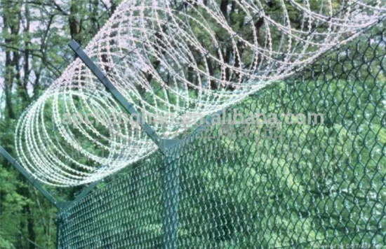 Qym-Airport Fence/Welded Mesh with Razor Wire on Top