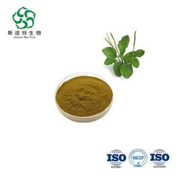 Sample Free Psyllium Extract Powder