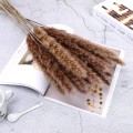 60cm Dried Pampas Grass Reed Flower Bouquet Natural Plants Home Decor Wedding Party Props Bulrush Flores Preservadas Decoration