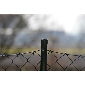 Service-oriented PVC chain link fencing