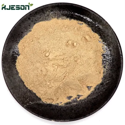 King oyster mushroom Pleurotus Eryngii Extract Powder