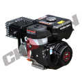 Small Gasoline Engine Hot Sale Chalion Gasoline Engine Reasonable Price Factory