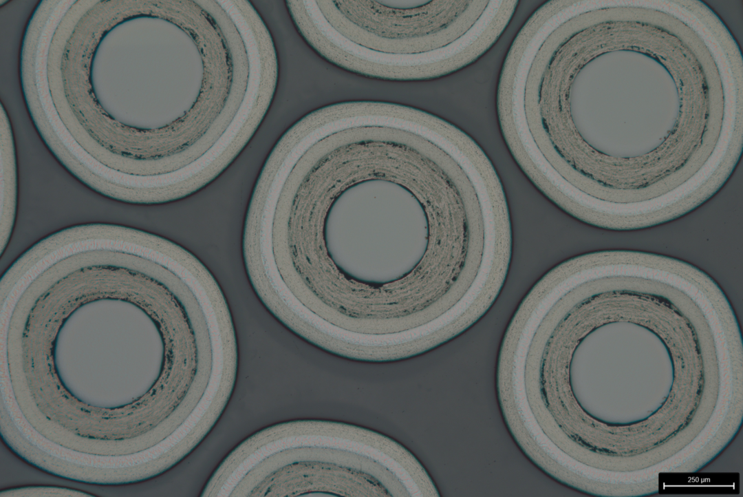 ZN-polishing-50× ZN-polishing-50×