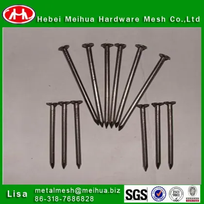 China ISO factory galvanized wire nail/polish common nails/iron nails/bright common nails/common nail iron nail factory