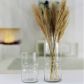 Home Decorative Cheap Transparent Flower Glass Vase