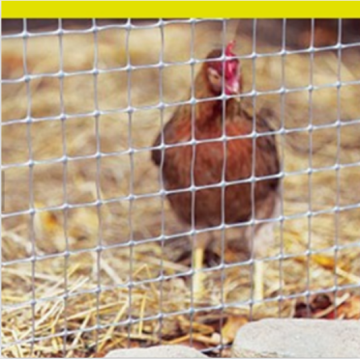 Thailand Grey Plastic Mesh Poultry Netting