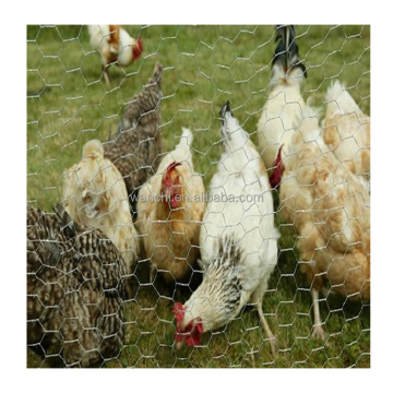 Custom PVC Coated Iron Wire Mesh for Poultry Chicken Wire Coops