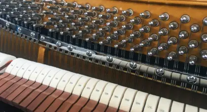 Elegant custom grand piano