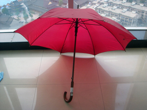 8k umbrella