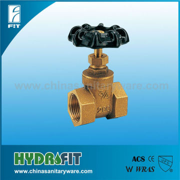 Gate valve with iron handle