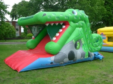 Inflatable Crocodile Slides