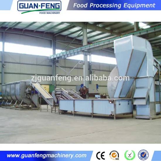 High efficient vegetables and fruits IQF frozen line