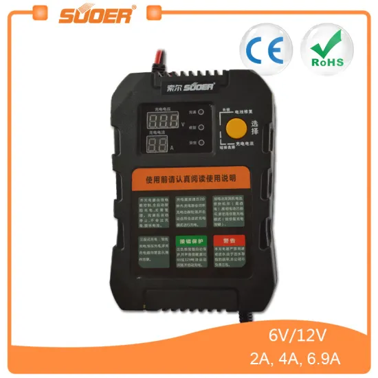 Suoer 6V 12V Intelligent Smart Car Battery Charger (A01-0612A)