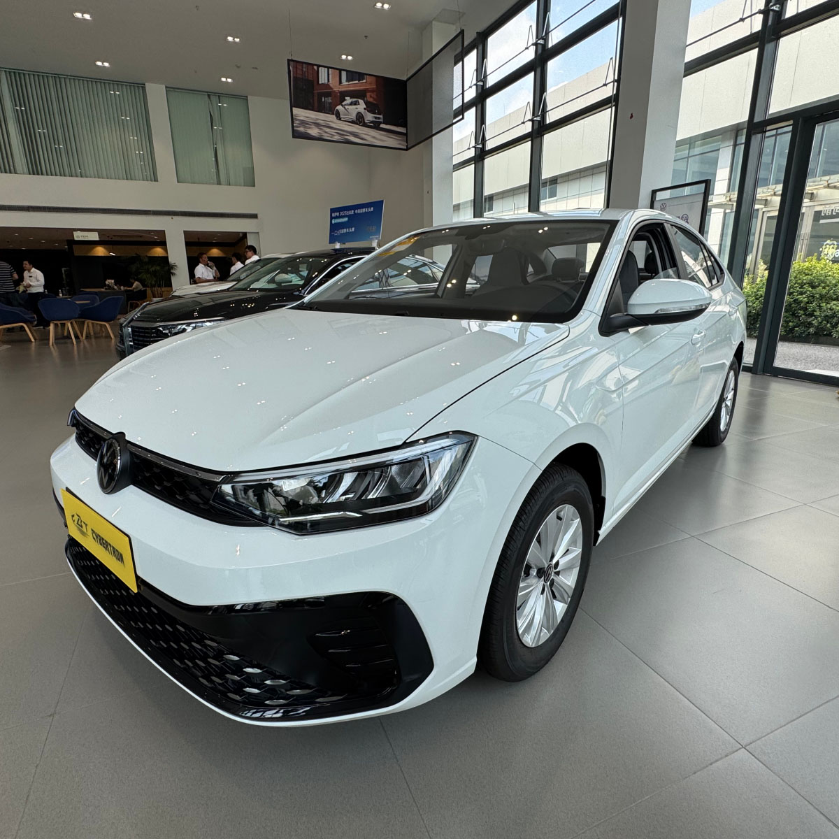 ESP Electronic Stability Program