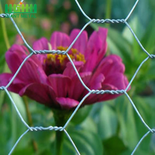 ทอรั้ว PVC Hexagon Gabion รั้ว