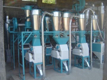 Wheat Flour Grinder (30T/24H) with Installation and Commission