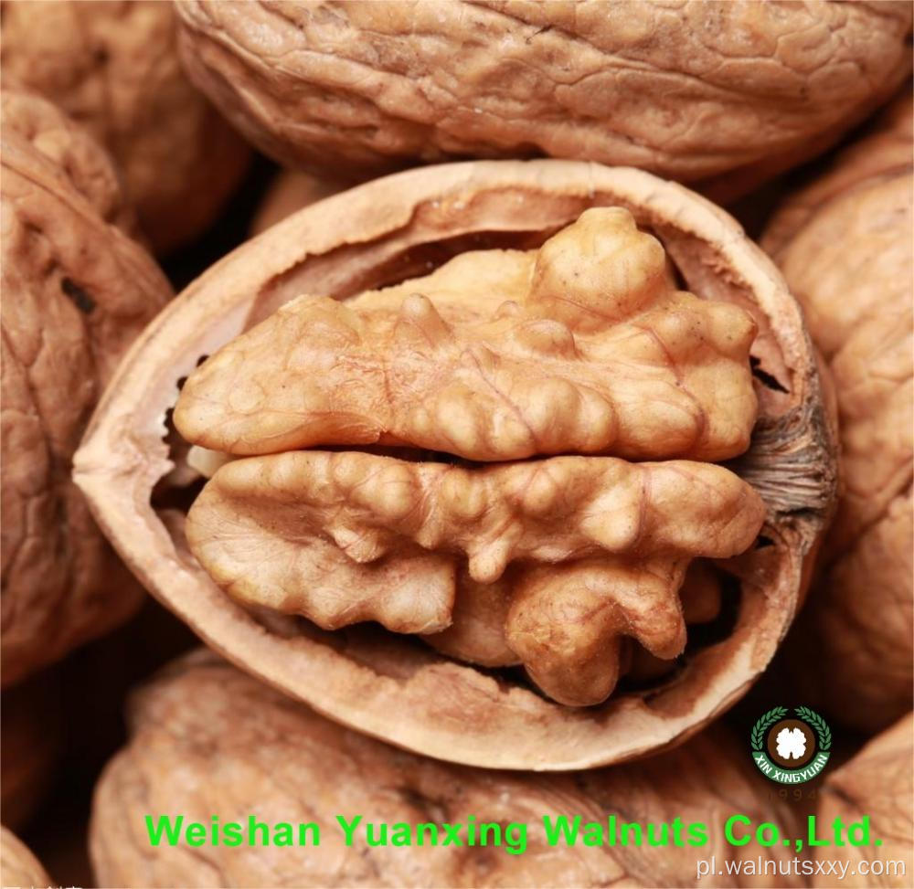 High Qulit Walnut jądra światła na sprzedaż