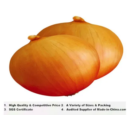 2014 Fresh Yellow Onions