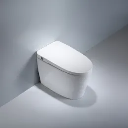 Foot Kick Flushing Ceramic Composting One Piece Toilet