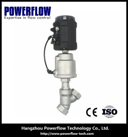 process control valve for angle seat with smart valve positioner