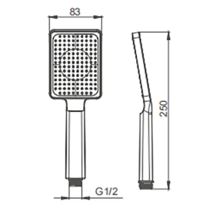 Sing Function Hand Shower ABS