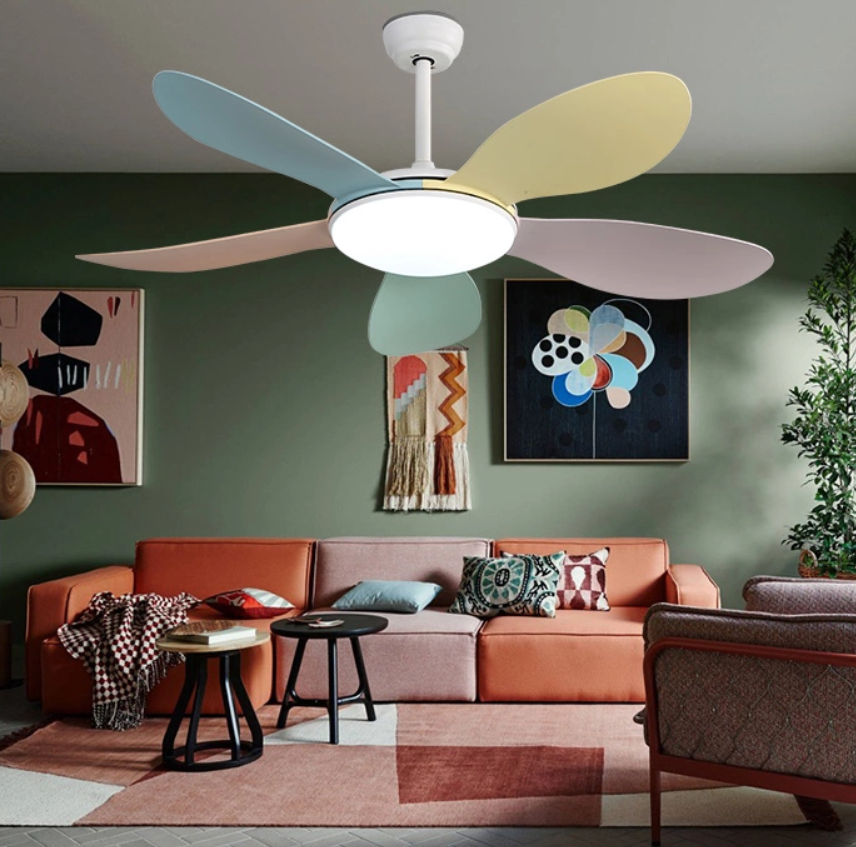 Fan5 Png Fan5 Png