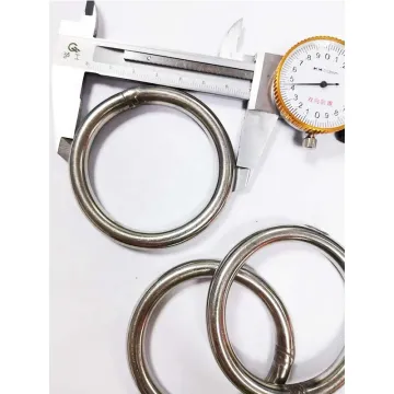 Stainless Steel O-Ring: 304/316 Metal Ring for Heavy Duty Applications