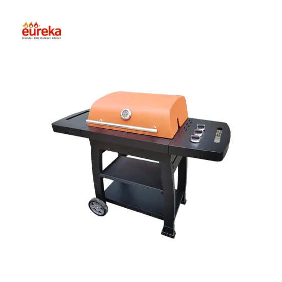 Stainless Steel Prefab Garden Outdoor Kitchen Barbeque Grill Gas BBQ Grills