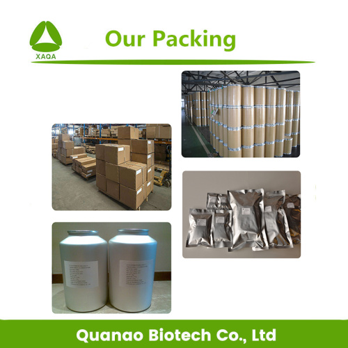 Vasodilator Protection Ingredients Sophora Japonica Extract Quercetin Powder 95% HPLC Manufactory