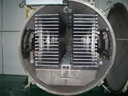 Cranberries Freeze drying equipment
