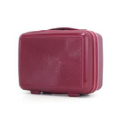 Hot Sale New Design PP Luggage