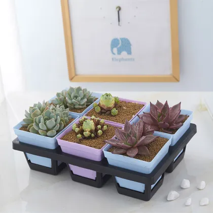 Plastic Flower Pot Carrying Trays -Hold 6 pots