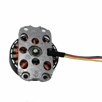24V Vegetable Cleaner with Brushless DC Motor