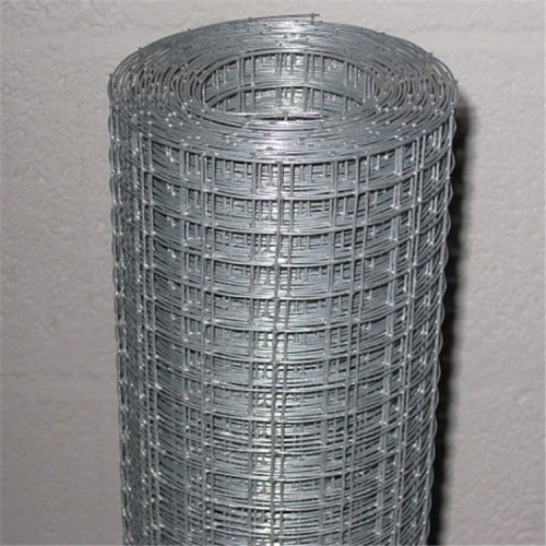 factory galvanised 3/4inch welded wire mesh