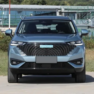 Havel H6 5 Seats 5 Doors SUV Enough Room Gas Vehicle Electric Car New Cars Automotives Electric Vehicle