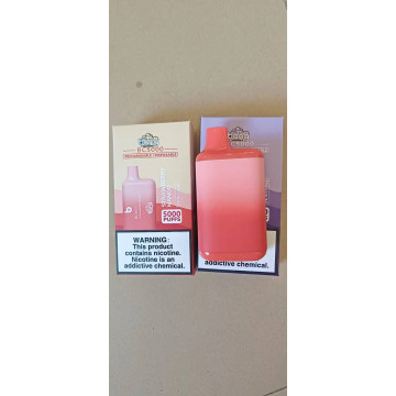 Rechargeable Disposable Vape Italy Bang BC5000