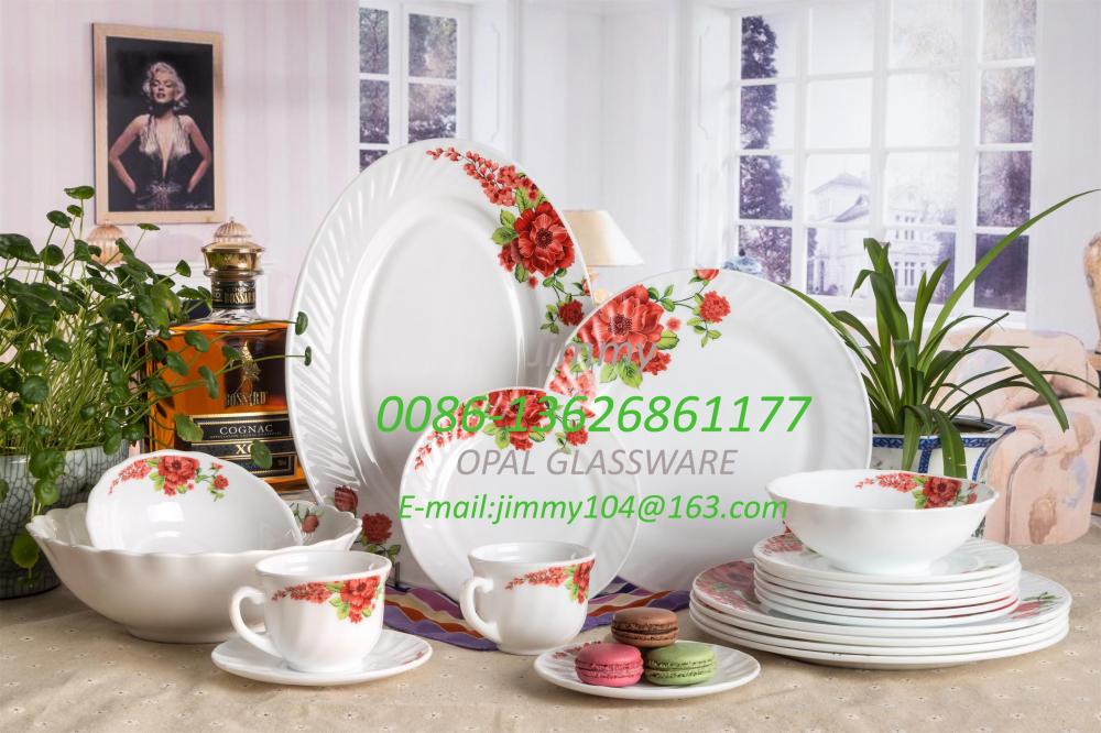 Sustainable Microwave Pyrex Dinner Set