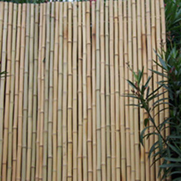 Bamboo Fence